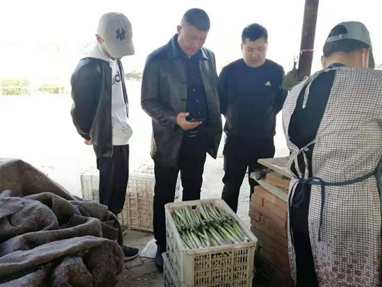 來自河南、山東、新疆的客人在種植園考察