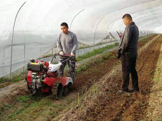 來自河南、山東、新疆的客人在種植園考察