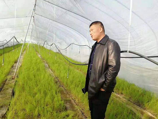 來自河南、山東、新疆的客人在種植園考察